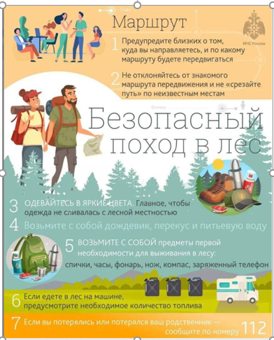 Памятка безопасный поход в лес