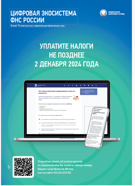 Цифровая экосистема ФНС России